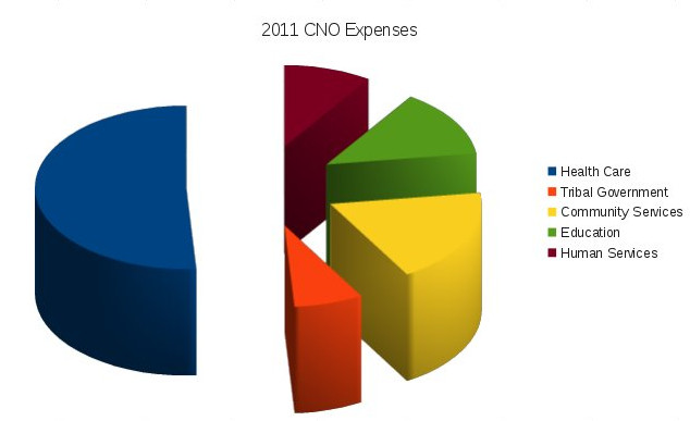 2011 CNO Expenses