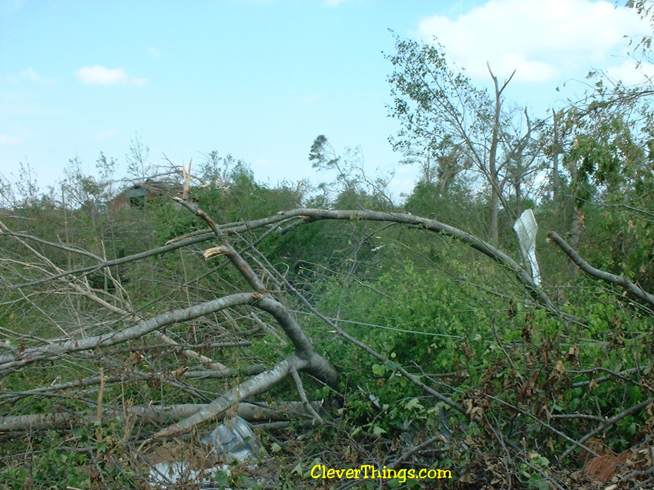 Tornado damage near Arab, Alabama