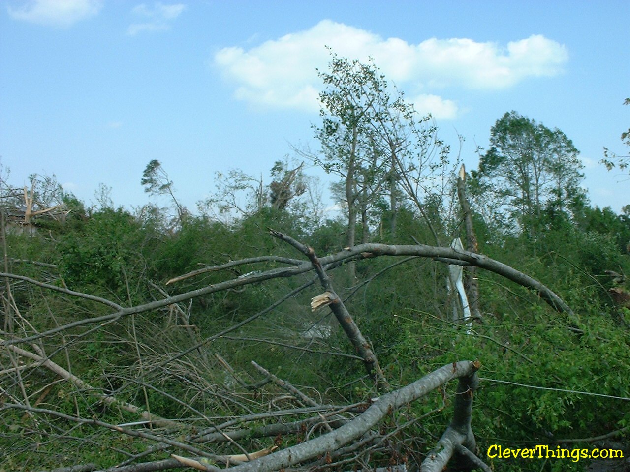 Tornado damage near Arab, Alabama