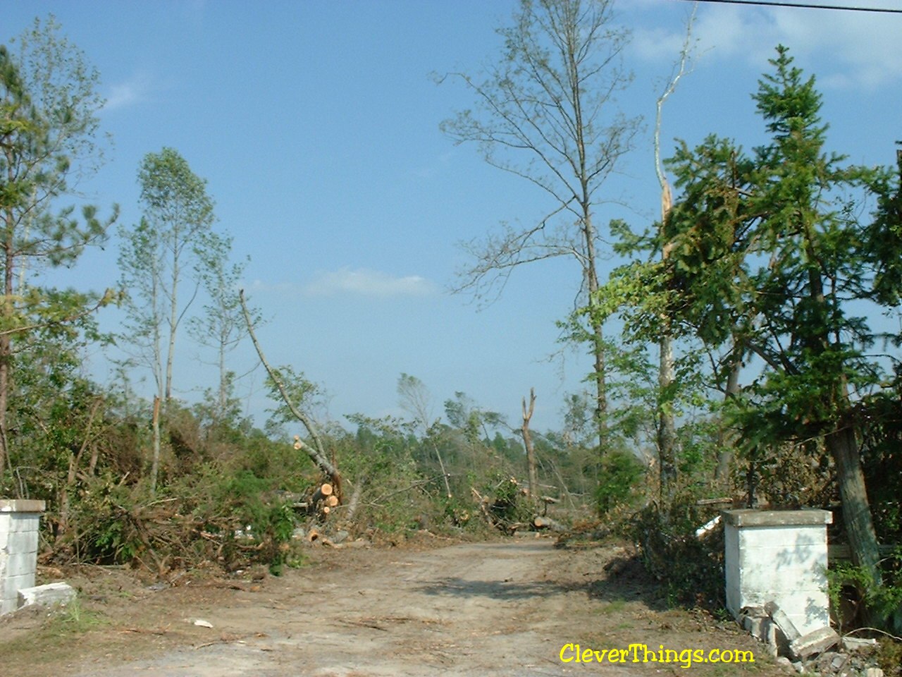 Tornado damage near Arab, Alabama